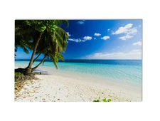 Tropical Beach Wall Art Print – Palm Trees, White Sand & Blue Water Photography