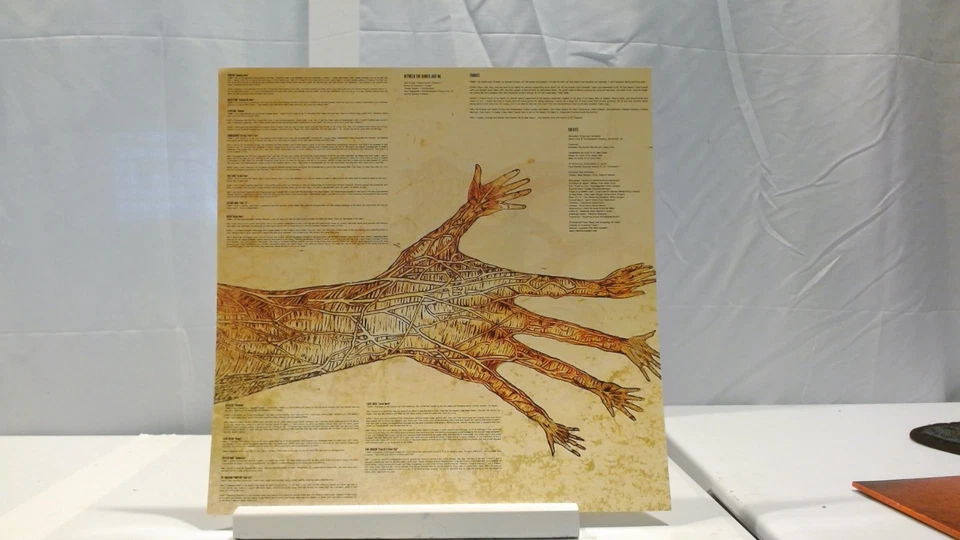 Between the Buried and Me the Anatomy of 2013 RSD Limited on Orange Vinyl NM/NM - Image 4 of 4