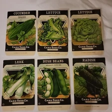 Lot of 6 Antique Vintage Card Seed Co. Packet Pack Fredonia NY  Vegetables 