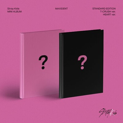 [1P] Stray Kids - Mini Album [MAXIDENT] (Norma Ver.) Photo Card K-pop Book CD