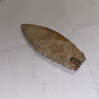 3 1/2 Inch Paleo Agate Basin Fossil Rare Illinois Ex Likens 
