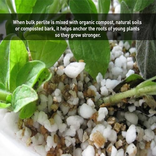 PVP Industries PVP105408 120 Quarts, 4 Cubic Foot of Organic Perlite Planting So