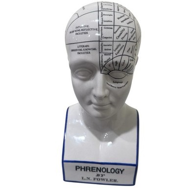 Porcelain L.N. Fowler Phrenology Authentic Models Pre Owned Use Read Description