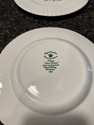 Set of 2 Royal Cauldon Bristol Ironstone “Norbury” Sweet Rocket Plates –Floral - Picture 5 of 5