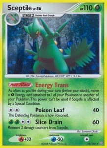Pokemon Sceptile (10/109) Stormfront LP