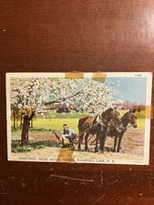 Greetings from Hotel Gibber Kiamesha Lake NY Vtg PC S-404 Cherry Blossoms Horses