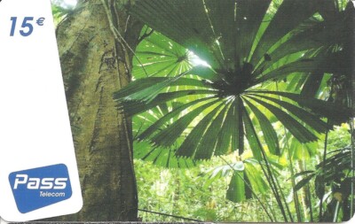 Französische Antillen Outremer Telekommunikation Fernbedienung Speicher Telefonkarte Regenwald #2