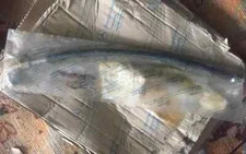 Шланг топливный Мерседес G-кл. W 463,4634700975,от топл радиатора к обратке