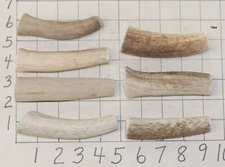 7 Elk Antler Dog Chew Treats