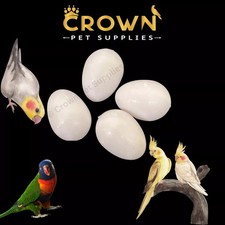 COCKATIELS FAKE EGGS Solid Plastic FOR RINGNECK, Dummy DOVE STOP LAYING Ct 4