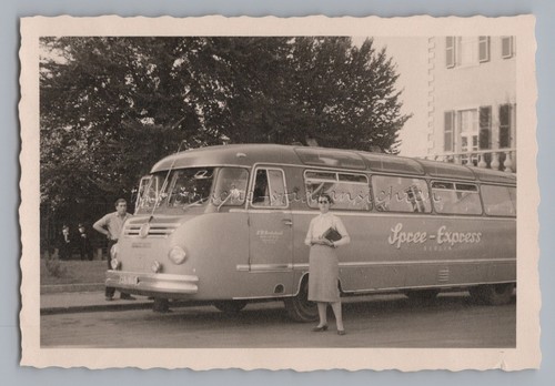 Reisebus KRAUSS-MAFFEI Spree-Express Berlin Bus Omnibus - Altes Foto
