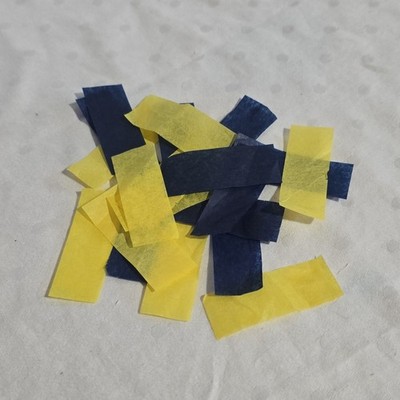 2026 Michigan NCAA Championship Confetti Lot (20) + Bonus 2023 Football Confetti