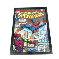 Marvel Amazing Spiderman Green Goblin Framed 3D Wall Picture Art 15" x 20"