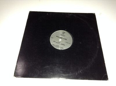 Wayne Fox   Try Again (Remix) / Two Thou Flow Vinyl Record 2000
