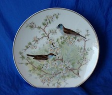 E&R Golden Crown American Songbird Warblers 7...