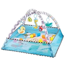 5-in-1 Ball Pit Play Mat Baby Infant Toddler Activity Gym with 5 Detachable Toys