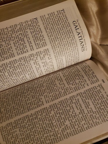 The Holy Bible King James Version LARGE PRINT Thumb Indexed Edition / TAN - 第 17/20 張圖片