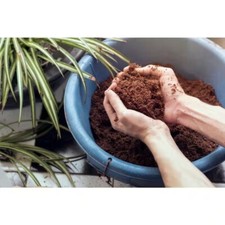 11 lbs. Coco Coir Potting Soil Blend - Indoor, Outdoor & Microgreens Potting Mix 3.03 per gallon