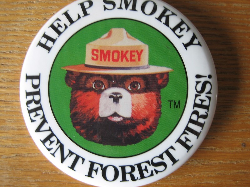 3" Vintage Wildland Fire Prevention Smokey Bear Prevent Forest Fires Button Pin
