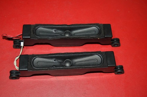 5629-106124-0290 6Ω 10W Lautsprecher Für TV SKYWORTH 42E2000. LCD- RDL420FY