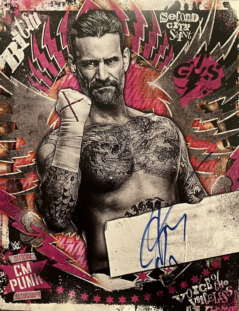 Cm 朋克WWE 摔跤原始亲笔签名照片| eBay
