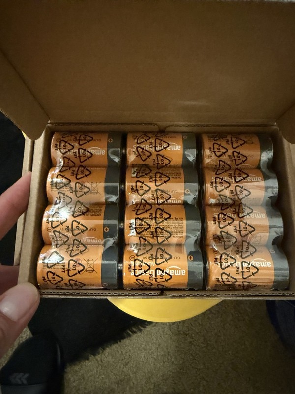 AmazonBasics D Battery 1.5V Cylindrical Batteries Pack in Box