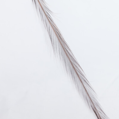 Metz Feathers Select Single Pack - Dun - 6 Sizes