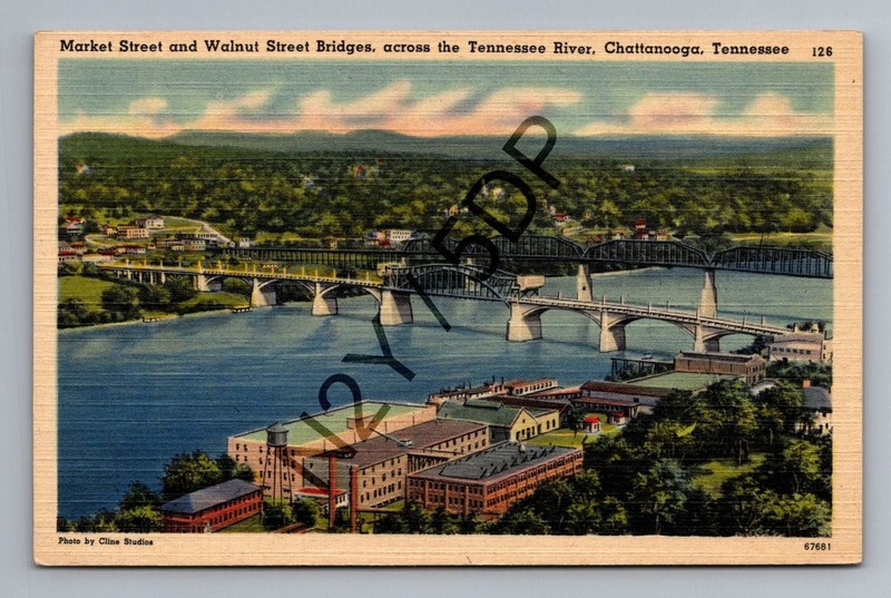Chattanooga TN Market & Walnut Street Bridges Tennessee River Postcard