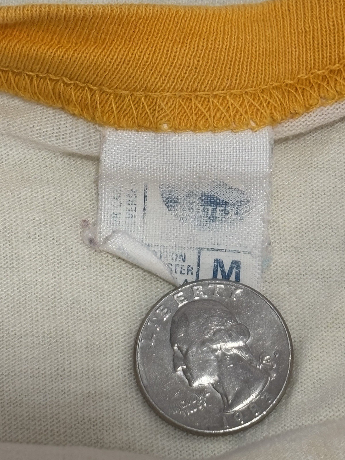 Picture 10 of 10