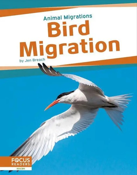 Jen Breach | Bird Migration | Buch | Englisch (2023) | Gebunden-image