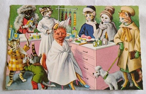 Lotto cartoline d'epoca Alfred Mainzer gatti usate antropomorfe - Foto 6 di 12