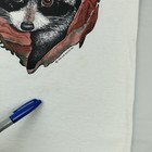Foto 7 di 17
