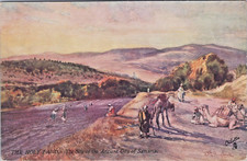 Tuck s Oilette Site of the Ancient City of Samaria Israel Vtg Postcard CP330