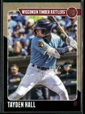2025 Wisconsin Timber Rattlers Tayden Hall RC Rookie Brewers Minor League