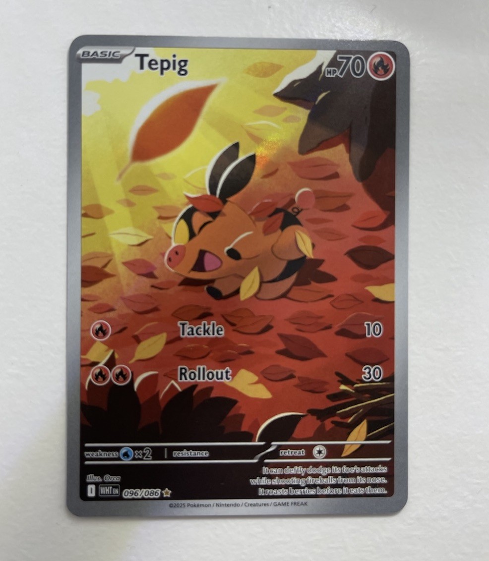Tepig 096/086 White Flare Illustration Rare Pokémon TCG NM