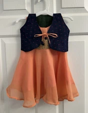 Indian Peach Dress