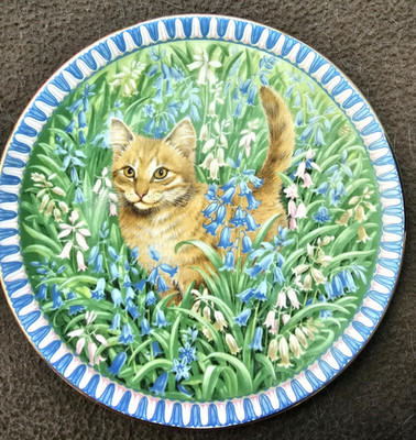 AYNSLEY Lesley Anne elfenbeinfarbener kleiner Katzenteller, Meet my Kitten Serie SPIRO