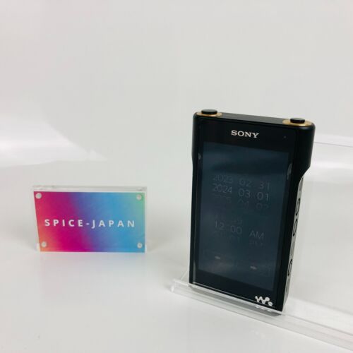 Reproductor de Audio Digital Walkman Sony NW-WM1A Negro Serie WM1 Japón Usado - Imagen 2 de 14