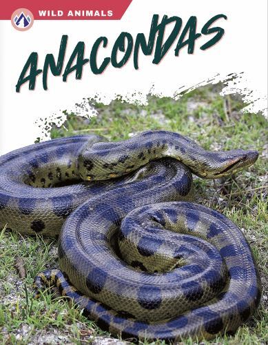 Anacondas, Hardcover by Bow, James, Like New Used, Free shipping in the US