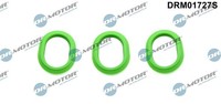 Dichtungssatz, AnsaugkrÜMmer Oben - Dr.Motor Automotive DRM01727S