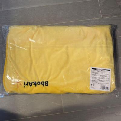 Stray Kids Xmas POPUP STORE 2023 Felix BbokAri Blanket JP | eBay