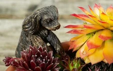 Pot Buddies Cavalier King Charles Spaniel Pot Hanger Ornament - Bronze Color