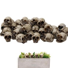 Skeleton Head Mini Skeleton Head 20 Pieces Small Mini Skulls Decor For Garden