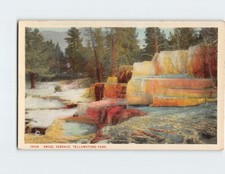 Postcard Angel Terrace, Yellowstone Park, Wyoming