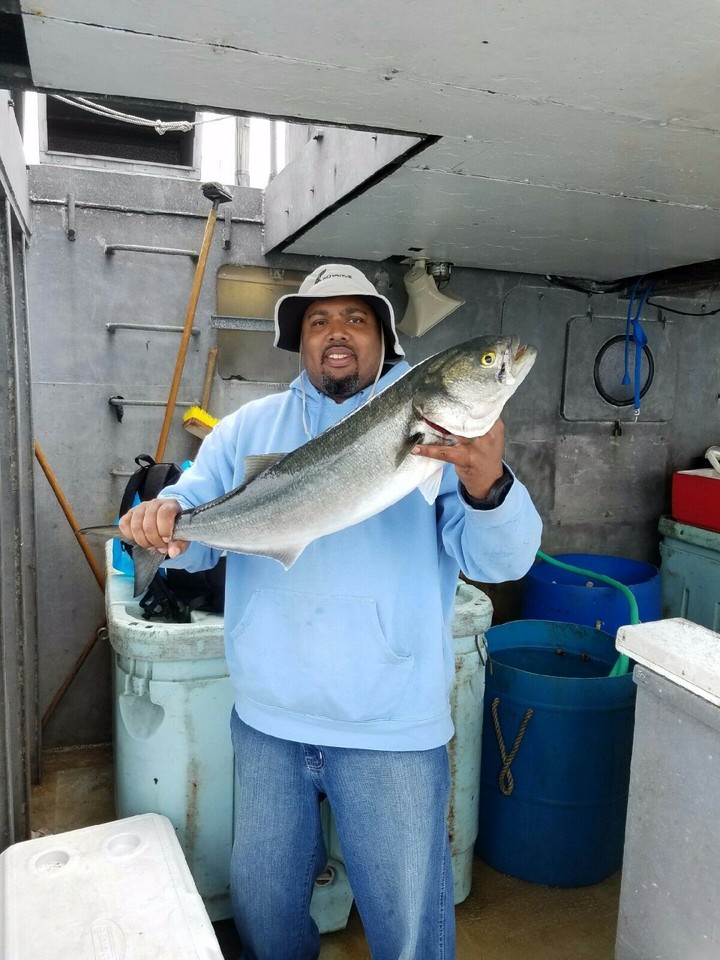 Heavy Wire ( Bluefish - Muskie - Gar ) Rigs Leaders Pike Musky Pickerel ...