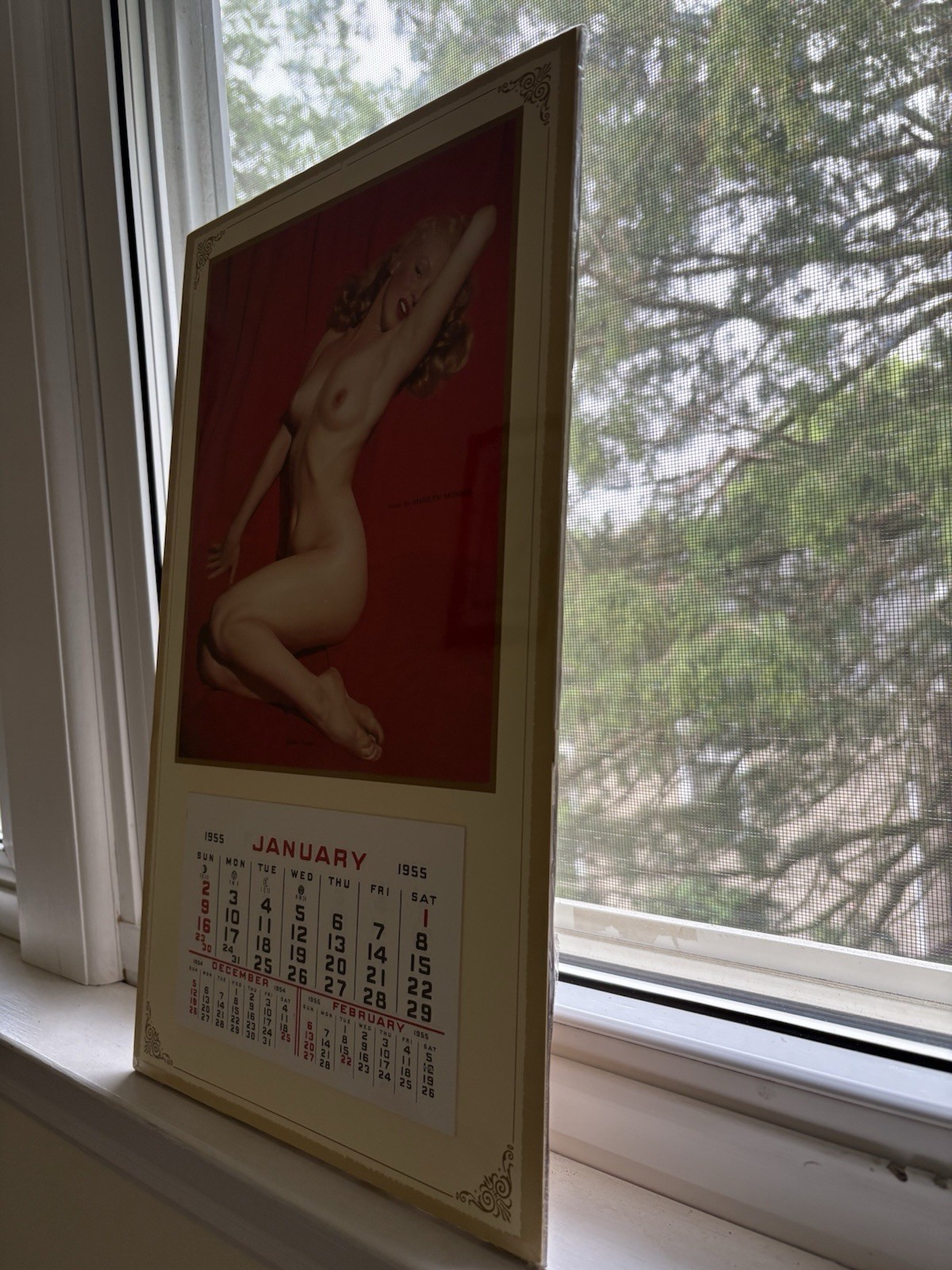 Bild 5 von 7