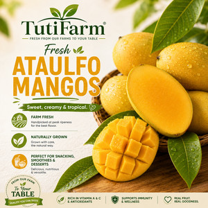 TutiFarm Fresh & Ripe 6 Ataulfo Mangos Tropical Fruit Box Rare & Exotic Sweet