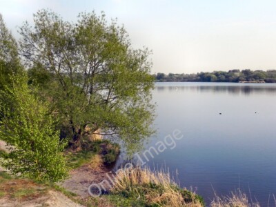 Foto 12x8 Pennington Flash Leigh\/SD6500 c2011