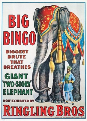 ELEPHANT Big Bingo - Ringling Bros - 1916 Poster Image - 5 x 7 inch Print