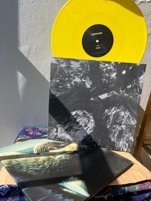その他 2discs LP Beyonce Lemonade 88985446751 	PARKWOOD ENTERTAINM /00660 Beyoncé - Lemonade - Amazon.com Music